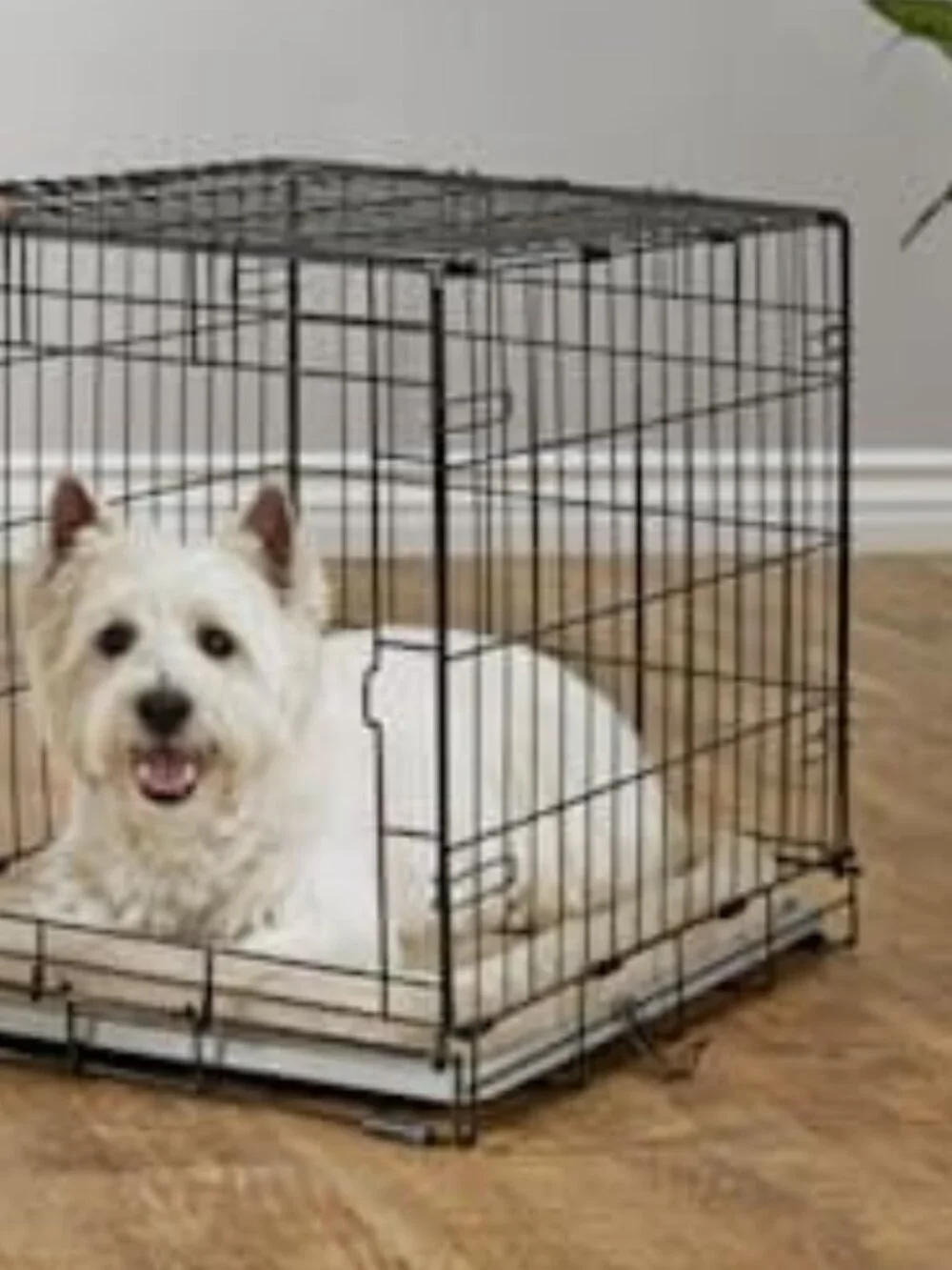EveryYay by Petco 1-Door Dog Crate Small Black: No Handles